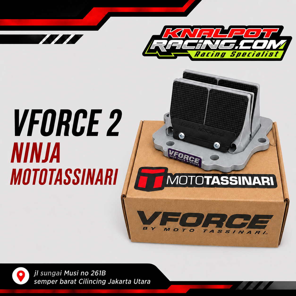 VFORCE 2 NINJA MOTOTASSINARI 